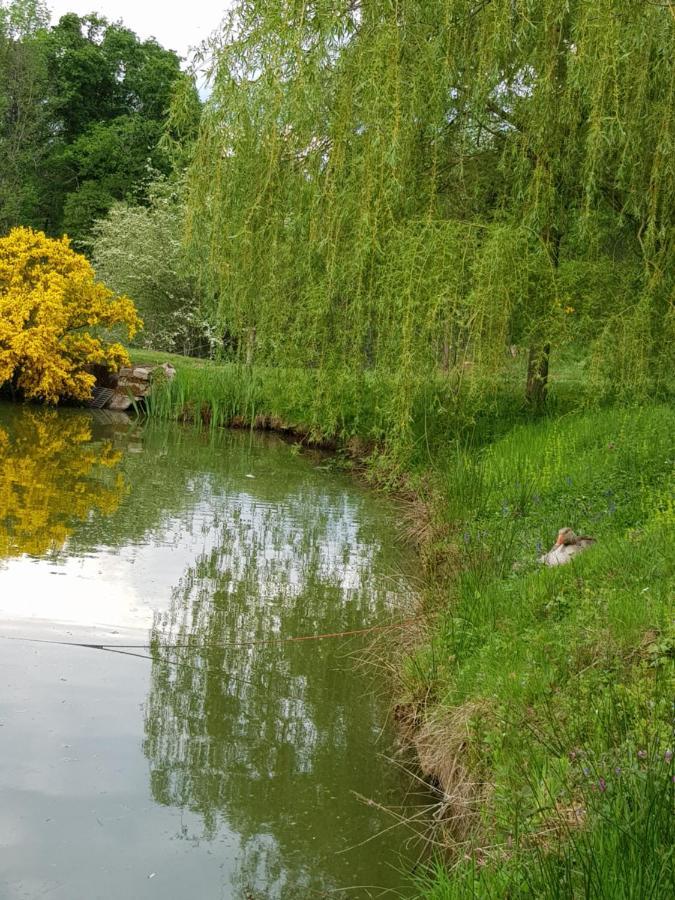 La Cabane Du Jardin Bongheat Kültér fotó